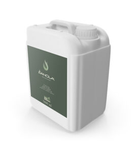 bio ethanol fuel Fanola 5l